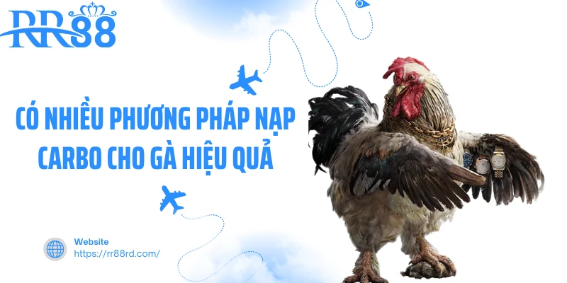 Có nhiều phương pháp nạp Carbo cho gà hiệu quả Có nhiều phương pháp nạp Carbo cho gà hiệu quả